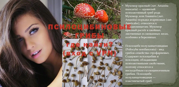 ПСИЛОЦИБИНОВЫЕ ГРИБЫ Белокуриха