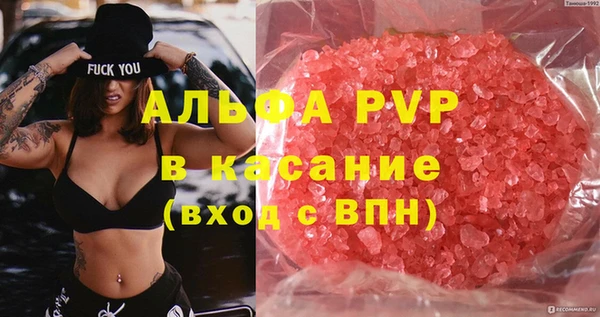ПСИЛОЦИБИНОВЫЕ ГРИБЫ Белокуриха