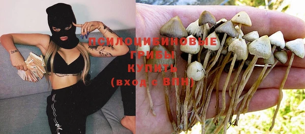 крисы Беломорск