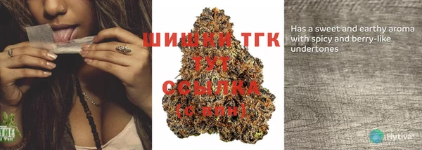 ПСИЛОЦИБИНОВЫЕ ГРИБЫ Белокуриха