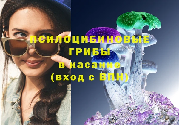 PSILOCYBIN Белоозёрский