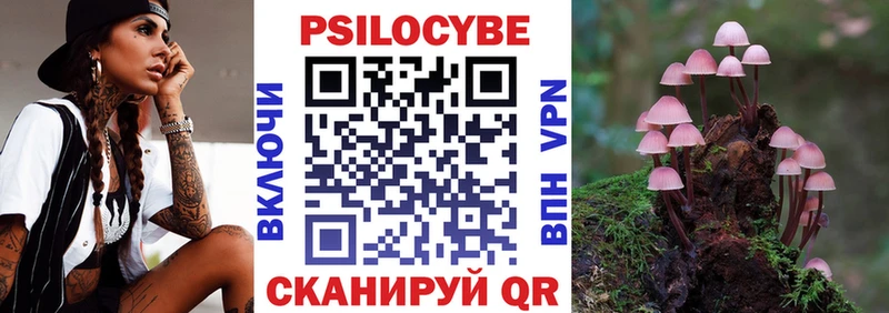 Купить закладки  Урус-Мартан  Псилоцибиновые грибы Cubensis 